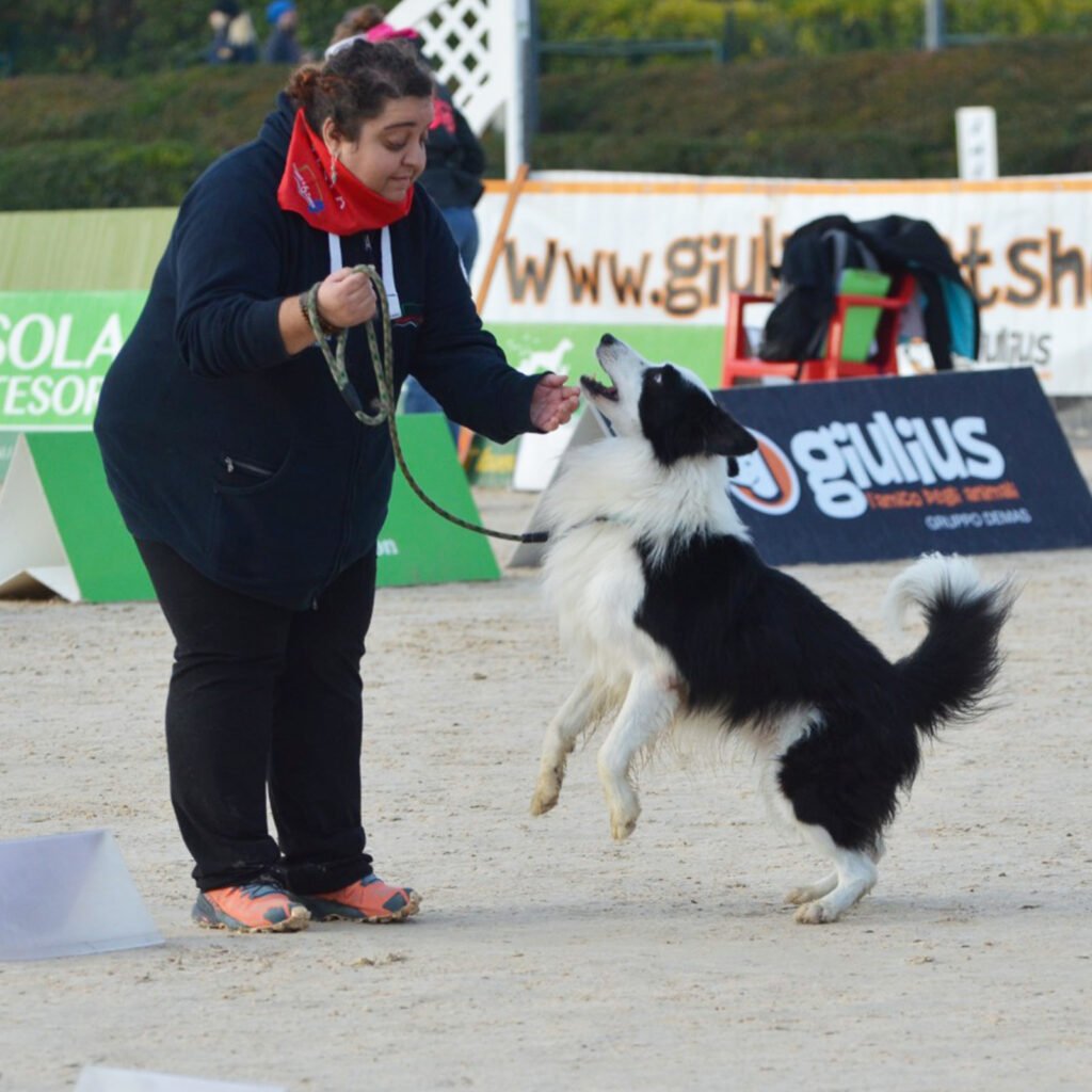 Il cane Border Collie Neko esprime alta eccitazione sollevandosi sulle zampe posteriori durante le finali nazionali di Rally Obedience a Cattolica, mentre la sua conduttrice Gloria Levrini, con un fazzoletto rosso al collo, lo guarda con dolcezza e usa una gestualità calma della mano per aiutarlo a ritrovare concentrazione ed equilibrio emozionale.