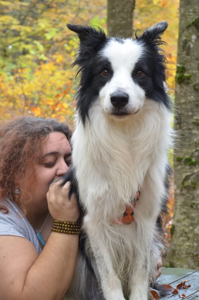 Ritratto verticale di Neko, cane Border Collie bianco e nero che guarda intenso e diretto nell'obiettivo, supportato dalla mano dell'istruttrice cinofila Gloria Levrini che si intravede a sinistra, simbolo dell'ascolto attivo, della consapevolezza corporea e dell'interconnessione.
