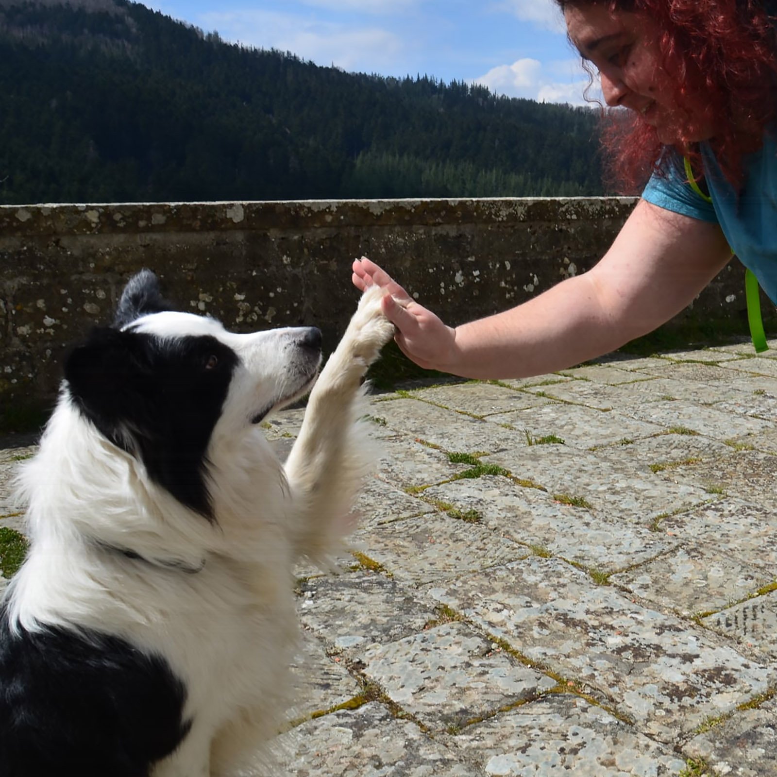 L'istruttrice cinofila Gloria Levrini e il cane Neko in un "cinque" perfetto, sorridenti e con un contatto visivo intenso, simbolo di una relazione autentica e serena basata sulla fiducia e sulla collaborazione.
