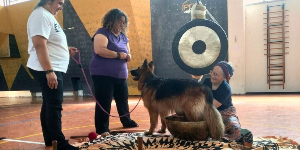 Il cane Pastore Tedesco Africa partecipa a un trattamento di sound therapy in una grande sala; è posizionato sopra una coperta con le zampe posteriori centro a una grande campana tibetana, mentre la operatrice Gigliola Ciceri, la sua conduttrice Gloria Levrini e Barbara Marastoni assistono in un'atmosfera di quiete, davanti a un grande gong.
