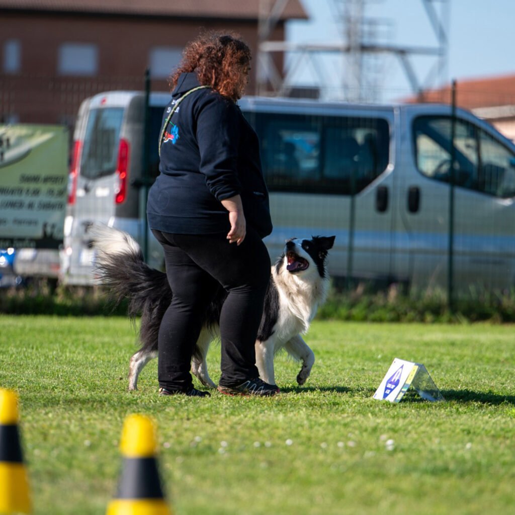L'istruttrice cinofila Gloria Levrini e il Border Collie Neko sul campo di Rally Obedience. Neko cammina felice e collaborativo al fianco di Gloria, con un'espressione radiosa e un'intesa perfetta, simbolo della relazione che diventa collaborazione nel movimento sportivo.